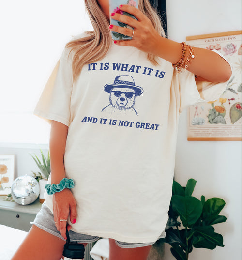 It Is What It Is and It Is Not Great, Vintage Drawing Shirt, Meme T Shirt, Funny Shirts for Her, Popular Graphic Tees, Bestselling Women's Tops, Party Tees