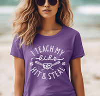 I Teach My Kids To Hit & Steal T-Shirt, Baseball Tees, Softball Tees, Funny Baseball Shirts, Funny Softball Shirts