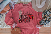 Cardinals Small Town, Big Spirit Washburn Crew Neck, Personalized Sports Team, Cardinal Mascot, Custom Sports Shirts, Cardinals Sweatshirts